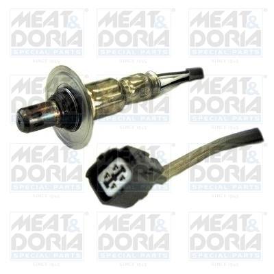 Oxygen Sensor